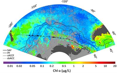 The distribution of mycosporine-like amino acids in phytoplankton across a Southern Ocean transect